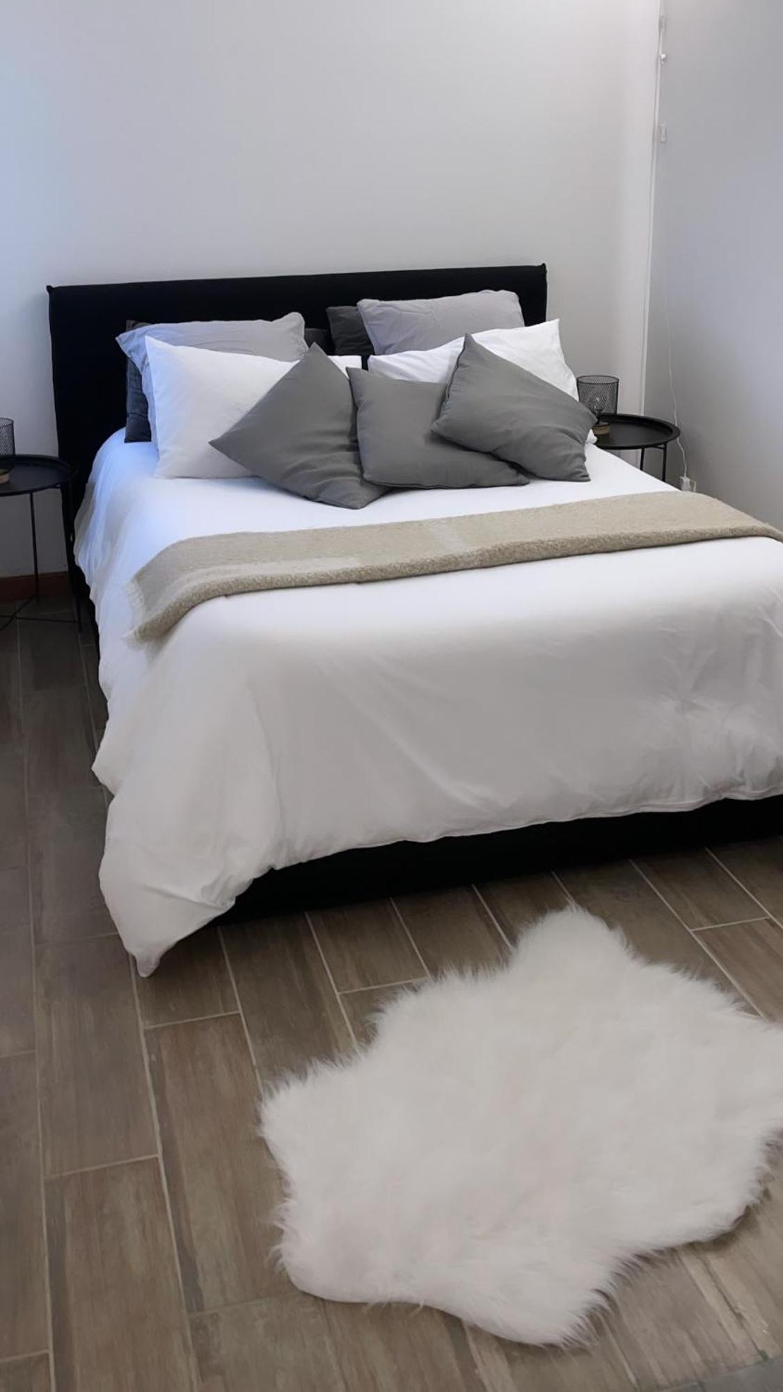 Elegant T2 Blagnac - Parking -Aeroport-Airbus- Meett Apartment ภายนอก รูปภาพ
