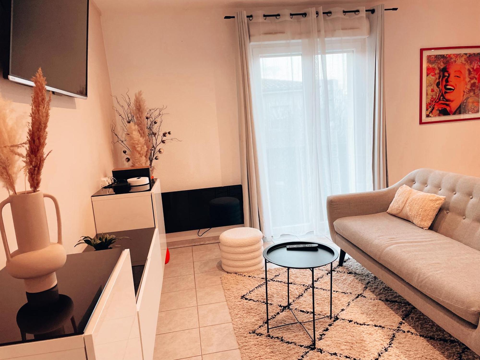 Elegant T2 Blagnac - Parking -Aeroport-Airbus- Meett Apartment ภายนอก รูปภาพ